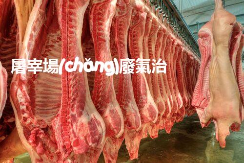 屠宰場(chǎng)廢氣治理：揭秘致命氣體，保護(hù)環(huán)境與生命！